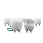 Milk Tooth Case - Image 3